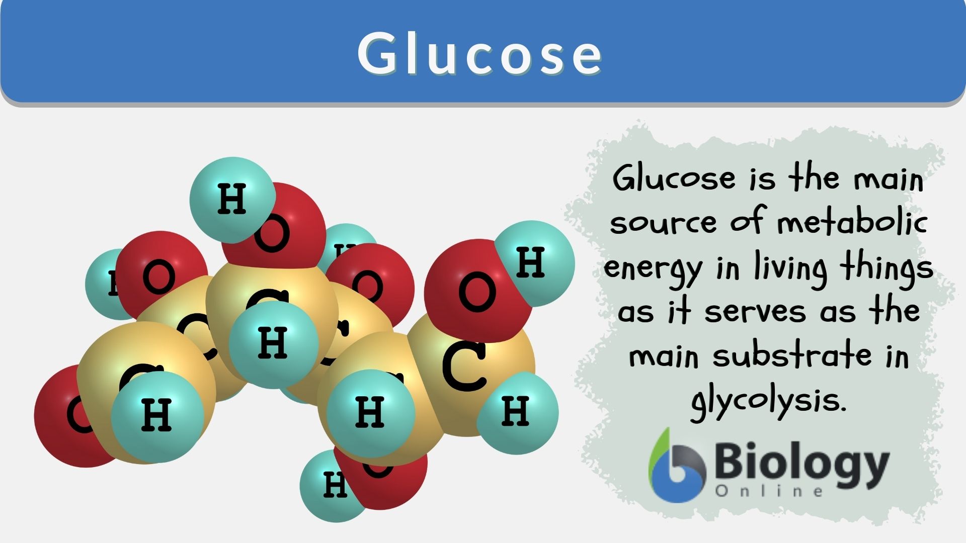 Glucose Definition And Examples Biology Online Dictionary