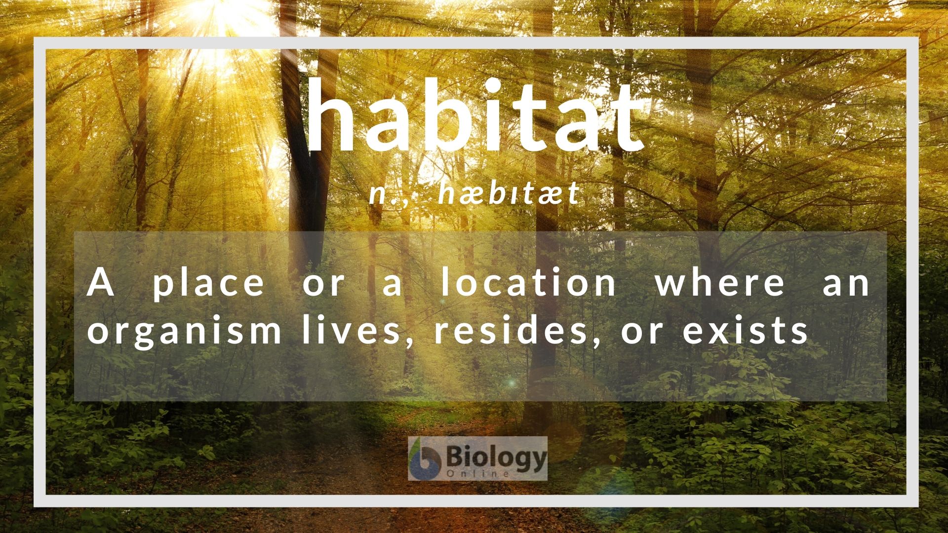 What Is Habitat Very Short Answer