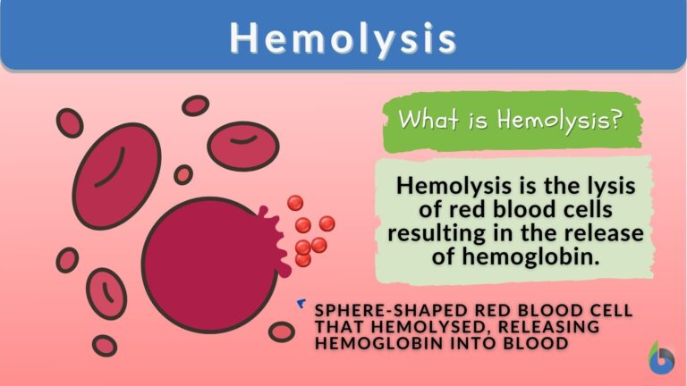 hemolysis-definition-and-examples-biology-online-dictionary