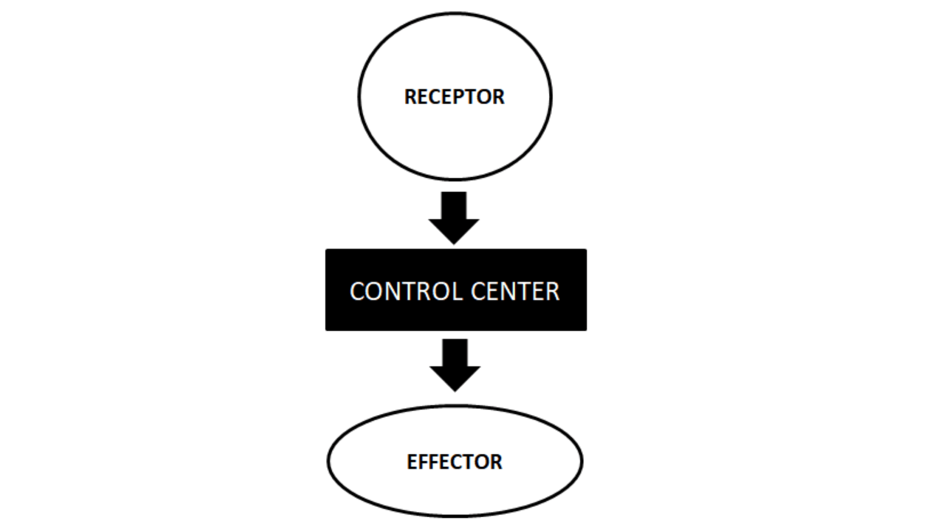 homeostatic-control-mechanisms-of-homeostatic-control-and-flickr