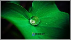 hydrophobic definition