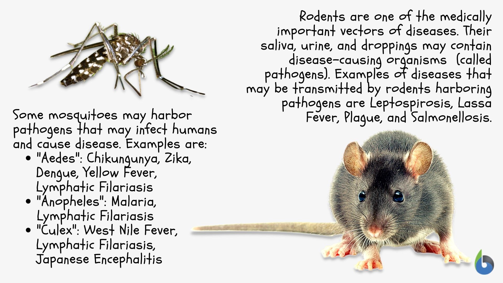 Vector Definition And Examples Biology Online Dictionary