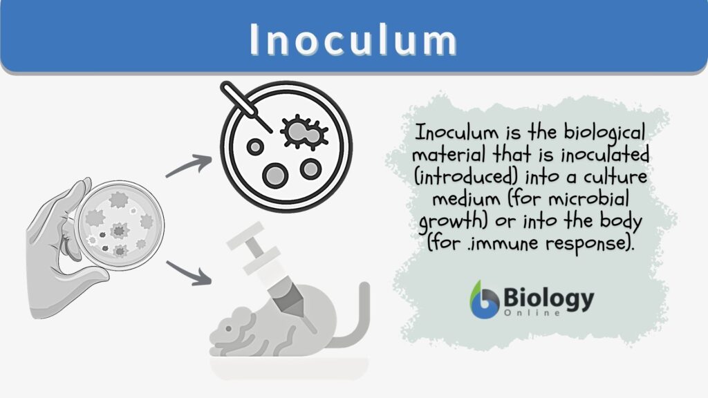 inoculum-definition-and-examples-biology-online-dictionary