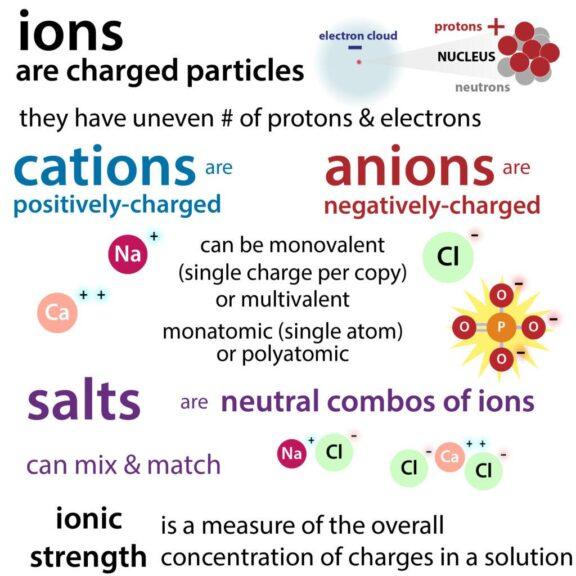 Common ions types in positive and negative ion mode