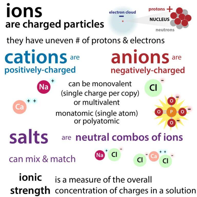 Ion - Definition and Examples - Biology Online Dictionary