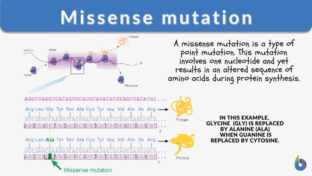 point-mutation-definition-causes-mechanism-types-examples