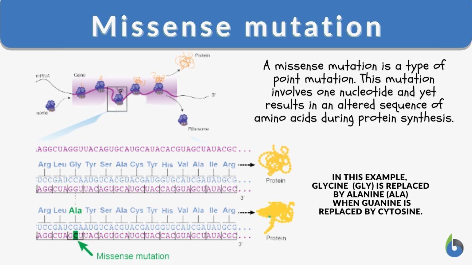 missense-mutation-definition-and-examples-biology-online-dictionary