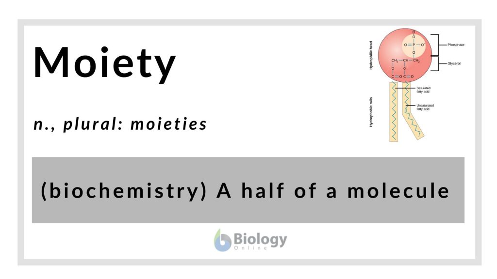 moiety-definition-and-examples-biology-online-dictionary