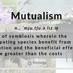 Mutualism Definition and Examples - Biology Online Dictionary