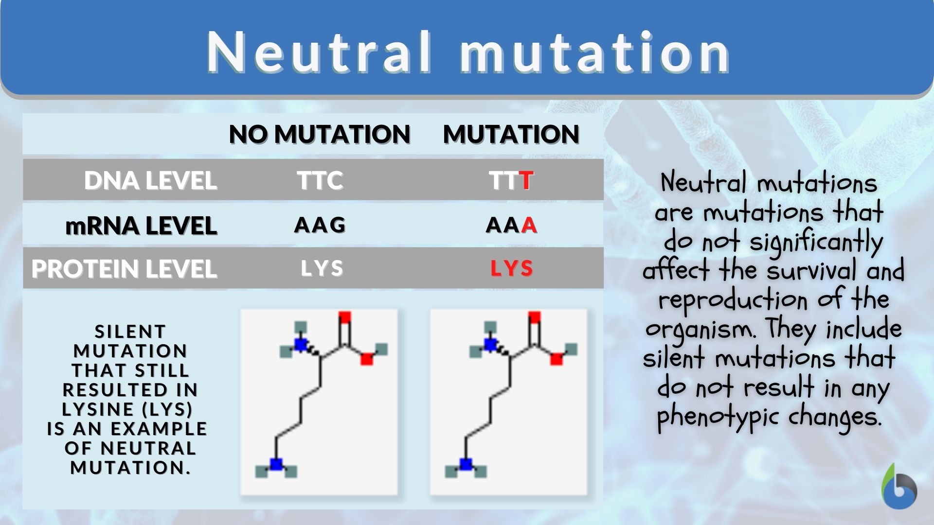 Neutral Mutation Definition And Examples Biology Online Dictionary