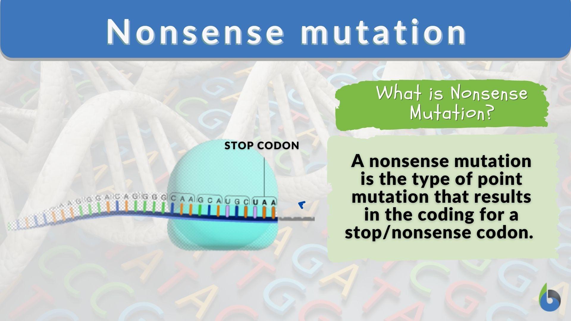 Nonsense mutation - Definition and Examples - Biology Online Dictionary