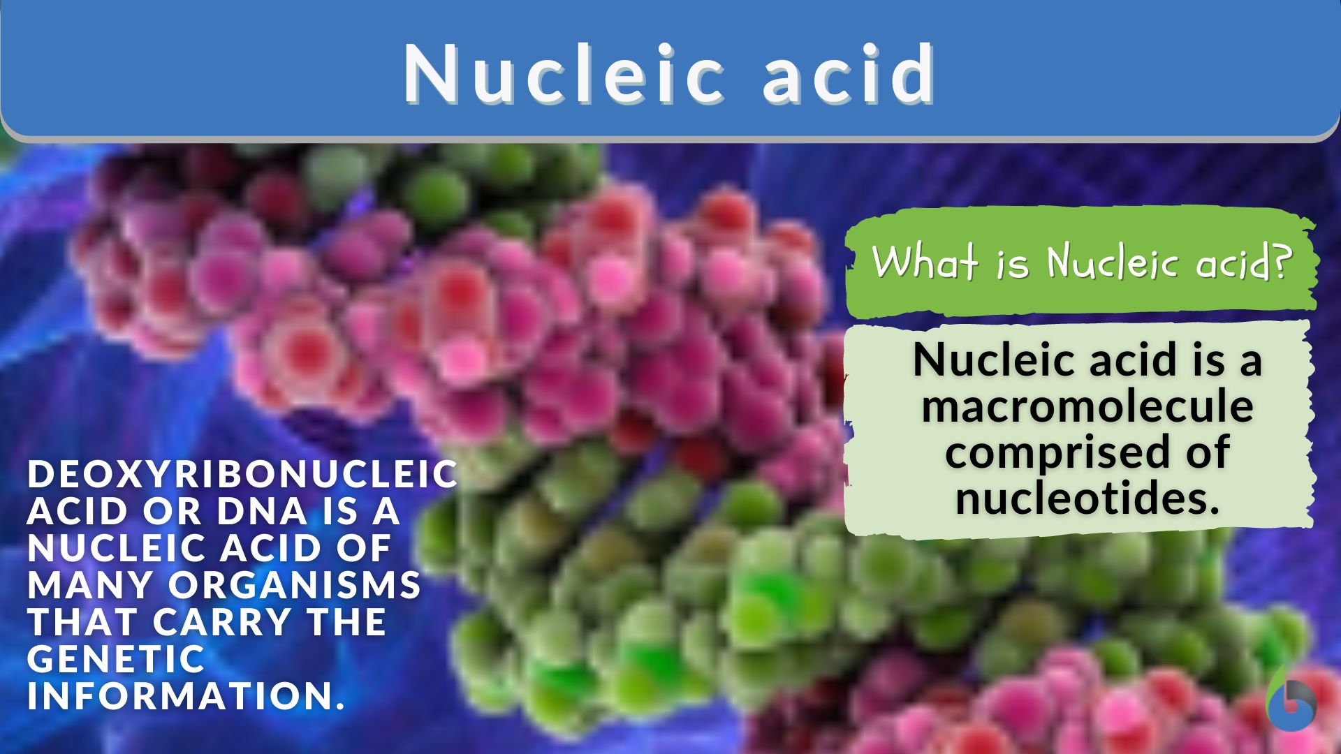 Nucleic Acid Definition And Examples Biology Online Dictionary