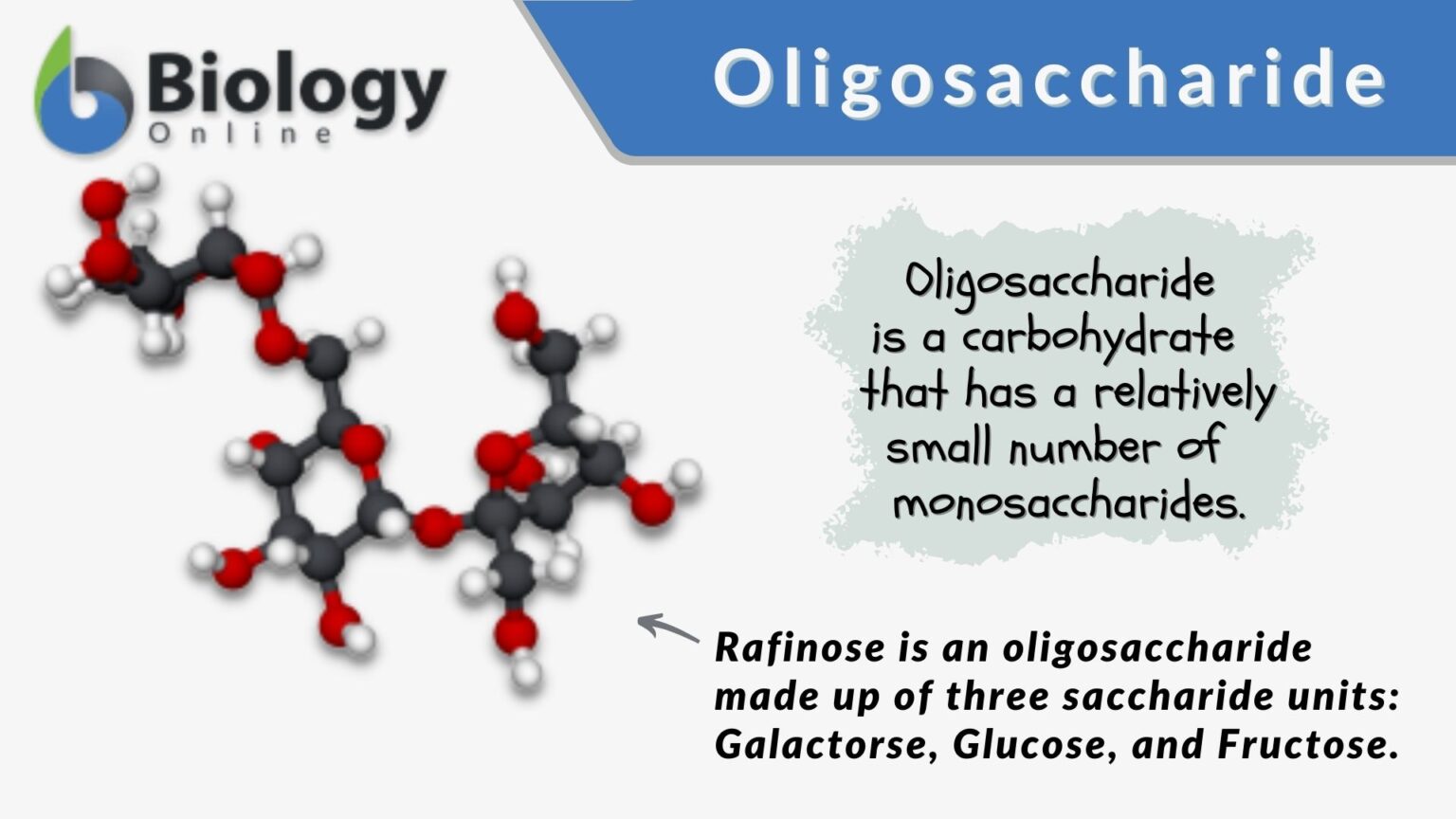 oligosaccharide-definition-and-examples-biology-online-dictionary