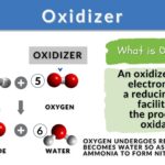 Oxidizer Definition and Examples - Biology Online Dictionary