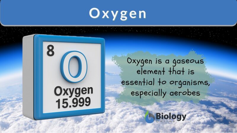 oxygen-definition-and-examples-biology-online-dictionary