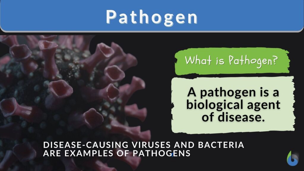 Pathogen Definition and Examples - Biology Online Dictionary