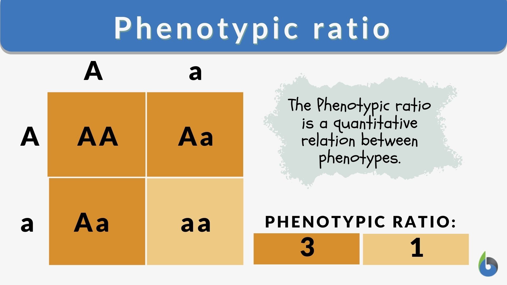 Phenotypic ratio - Definition and Examples - Biology Online Dictionary