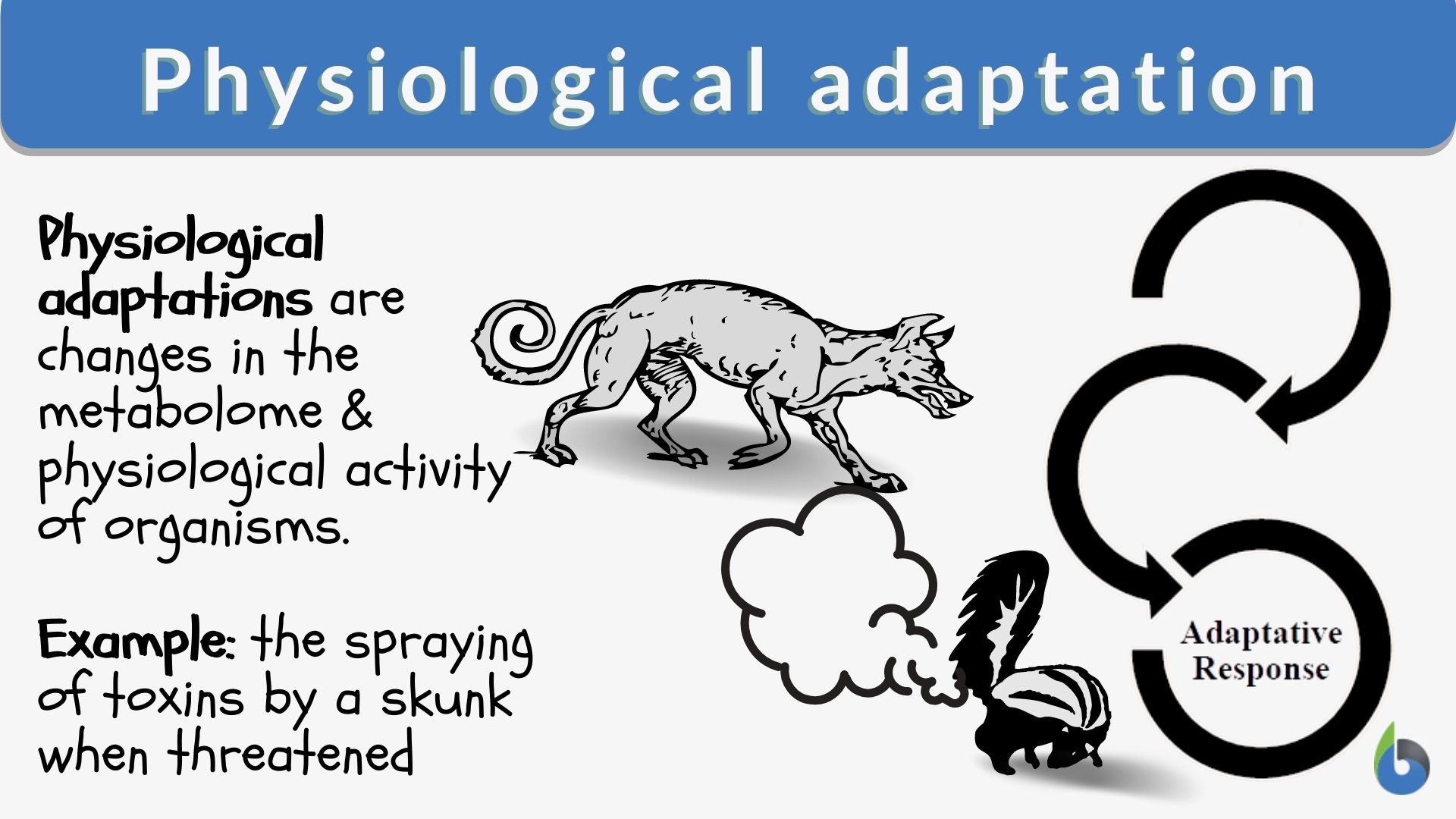 Physiological Adaptation Definition And Examples Biology Online 