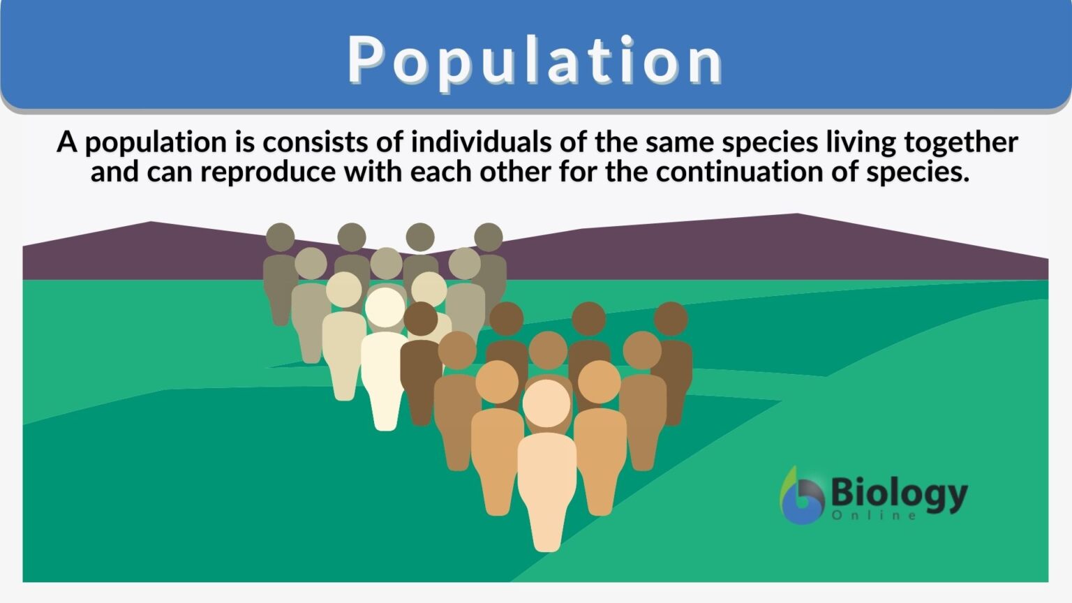 define representation by population