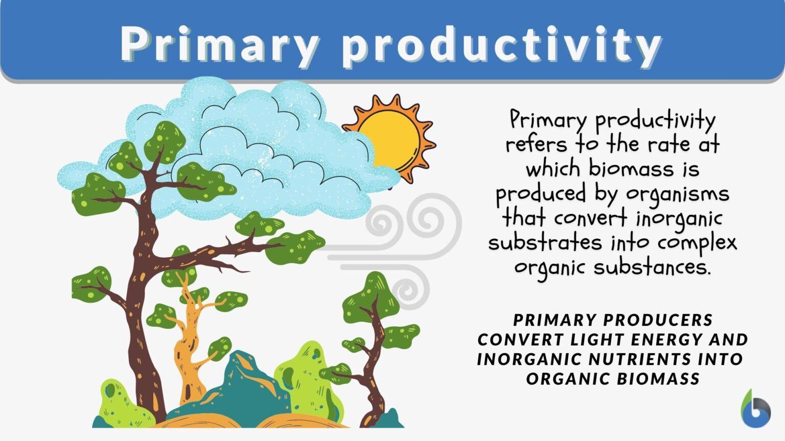 primary-productivity-definition-and-examples-biology-online-dictionary