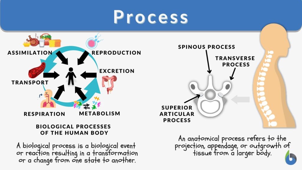 What Does Process Flow Mean Business