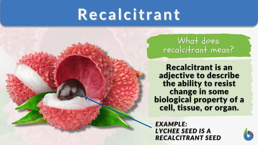 recalcitrant-definition-and-examples-biology-online-dictionary