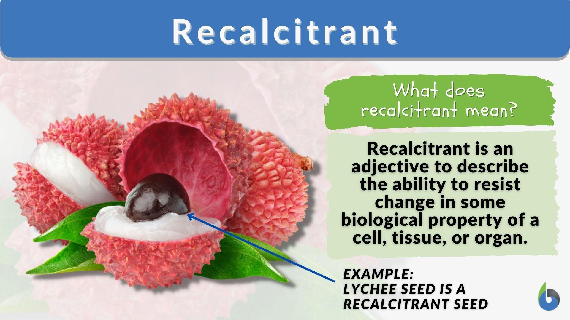 Recalcitrant Definition And Examples Biology Online Dictionary