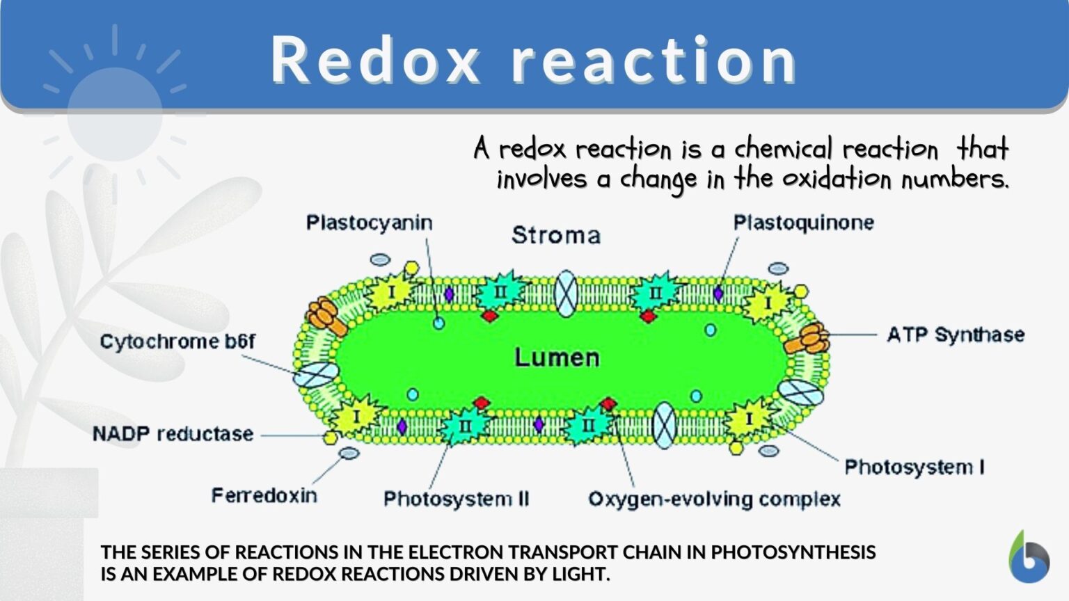 redox-reaction-definition-and-examples-biology-online-dictionary