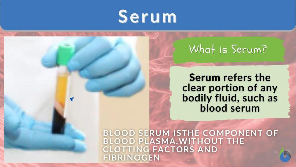 serum-definition-and-examples-biology-online-dictionary