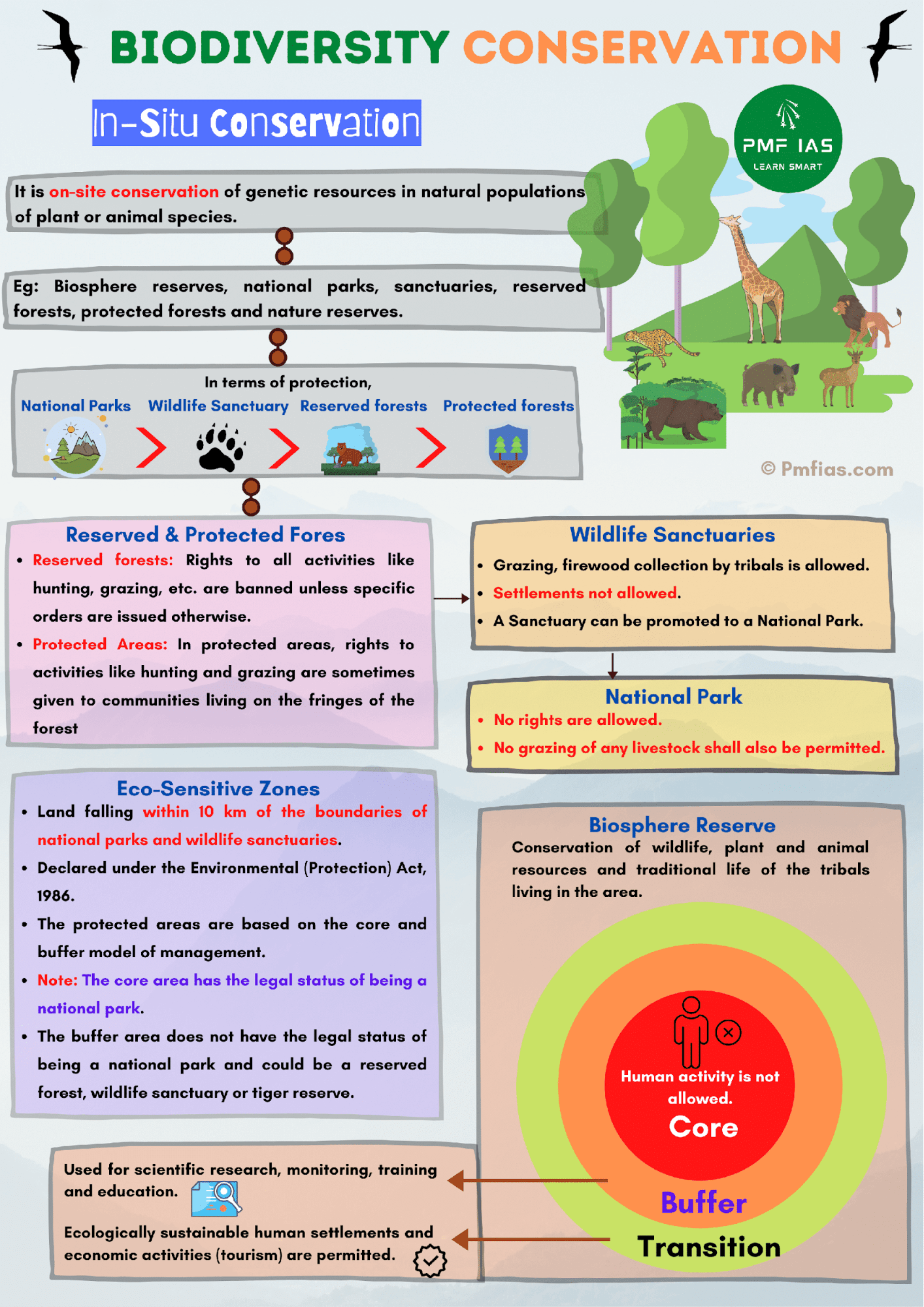 biodiversity-definition-and-examples-biology-online-dictionary