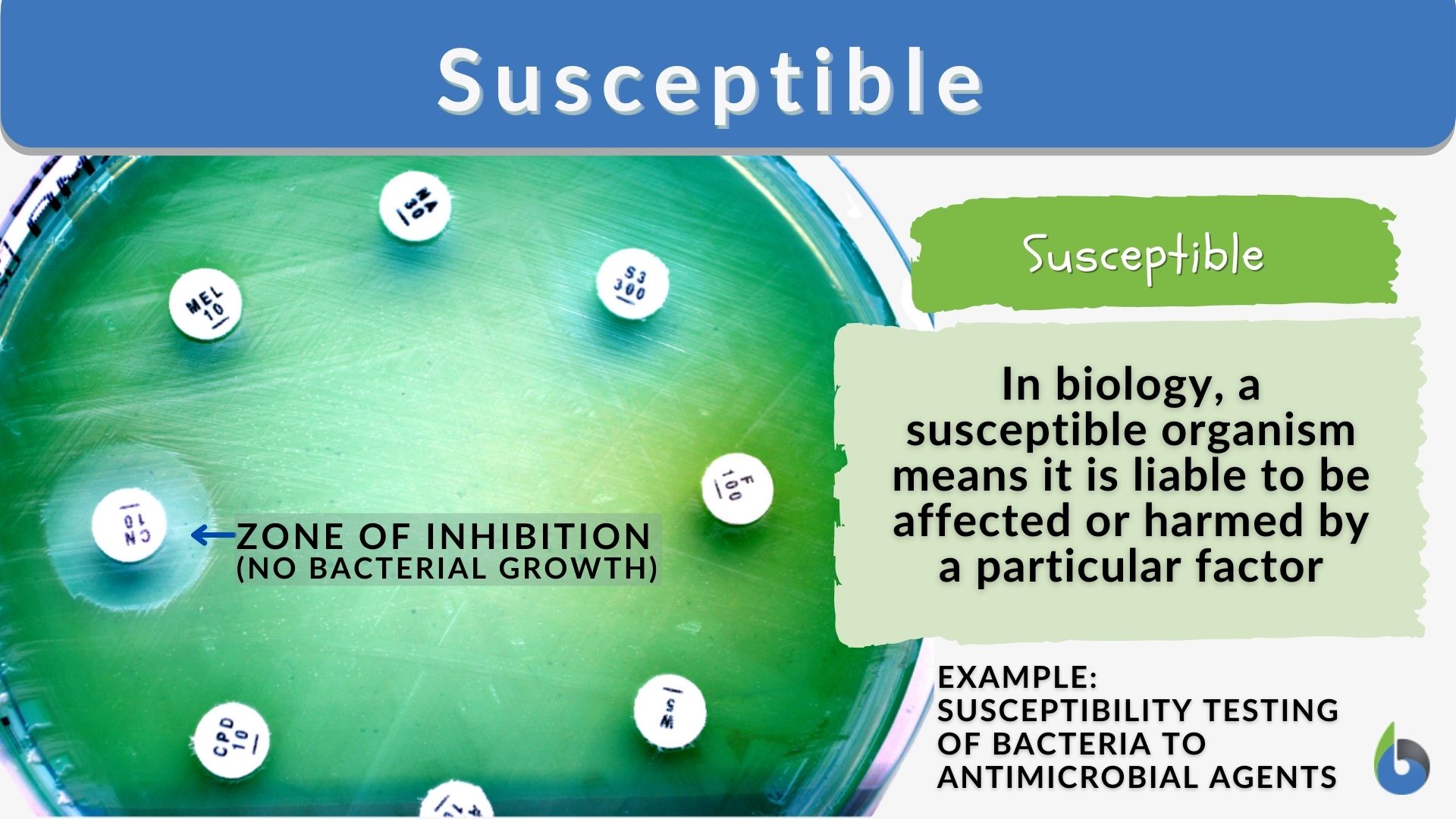 Susceptible Definition And Examples Biology Online Dictionary