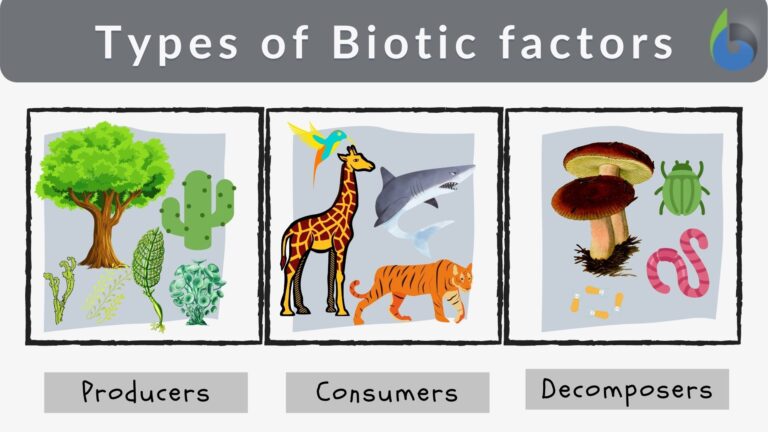 Biotic factor Definition and Examples - Biology Online Dictionary