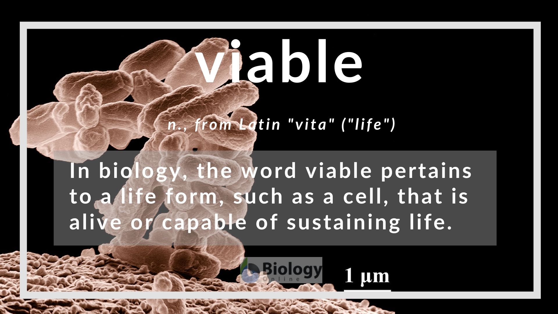 Viable Definition And Examples Biology Online Dictionary