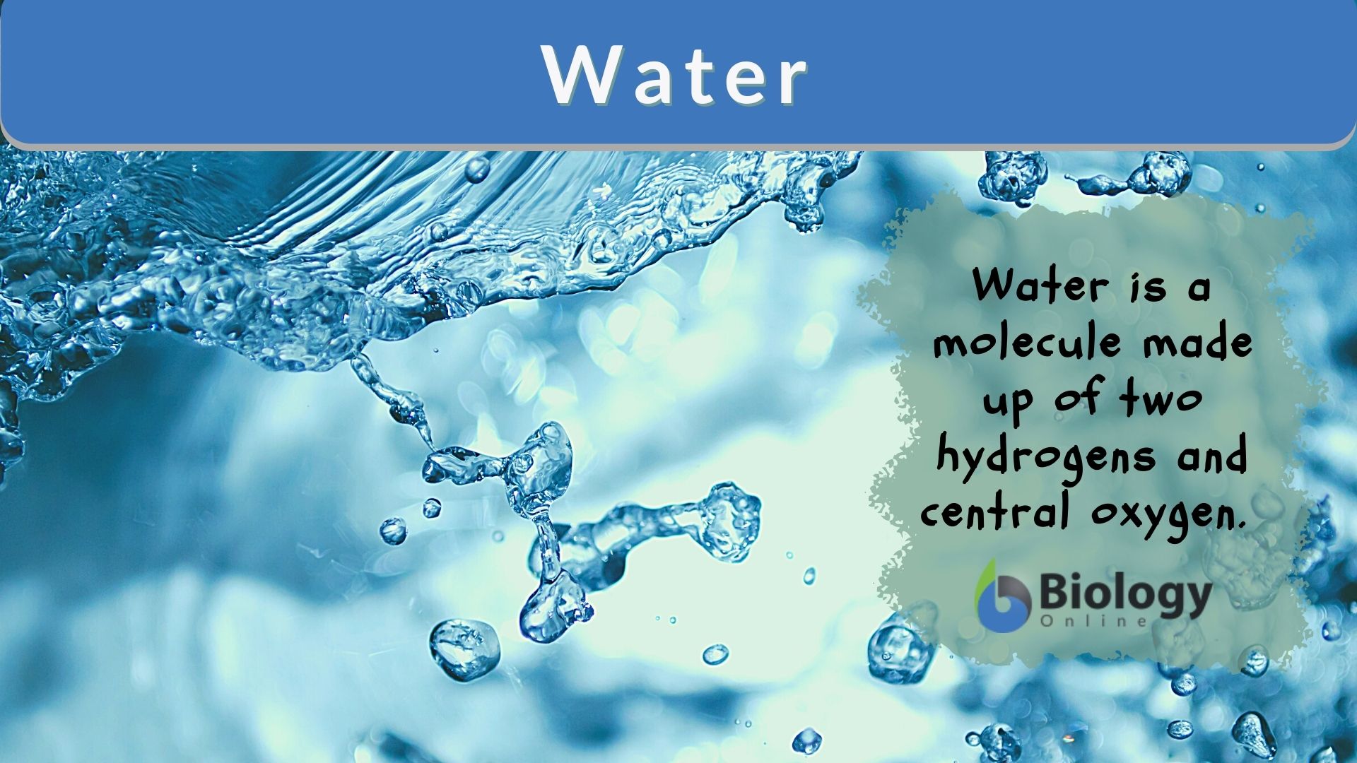 Water Definition And Examples Biology Online Dictionary