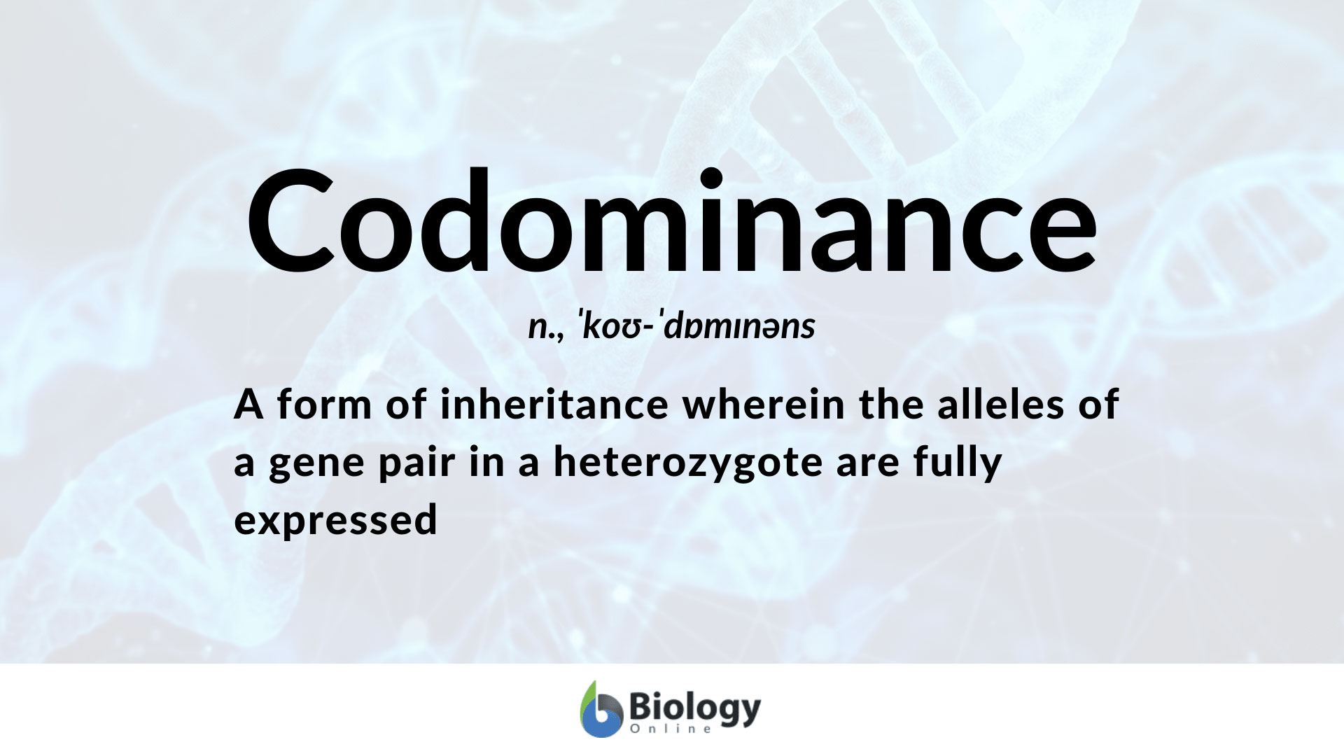 Codominance Definition And Examples Biology Online Dictionary