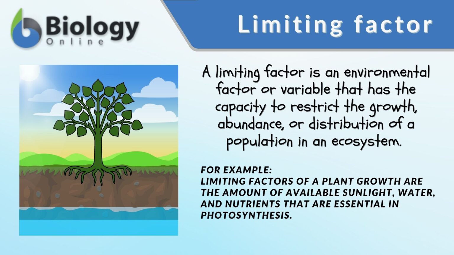 Limiting Factor Definition And Examples Biology Online Dictionary