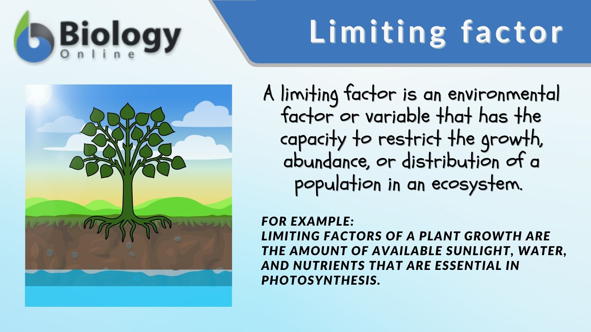 limiting factor definition