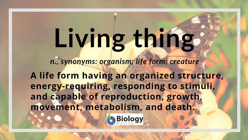 Living thing - Definition and Examples - Biology Online Dictionary