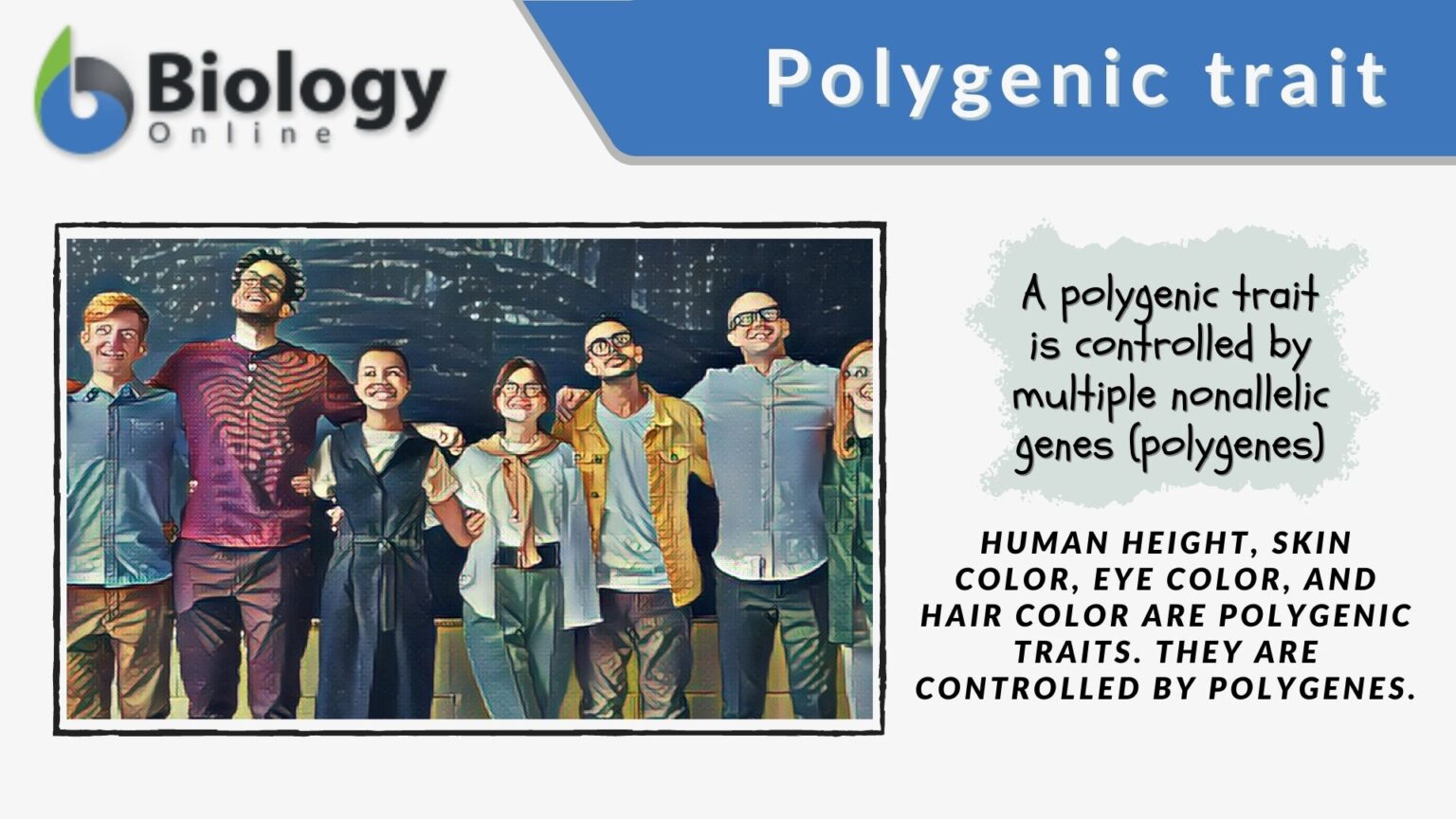 Polygenic Trait Definition And Examples Biology Online Dictionary