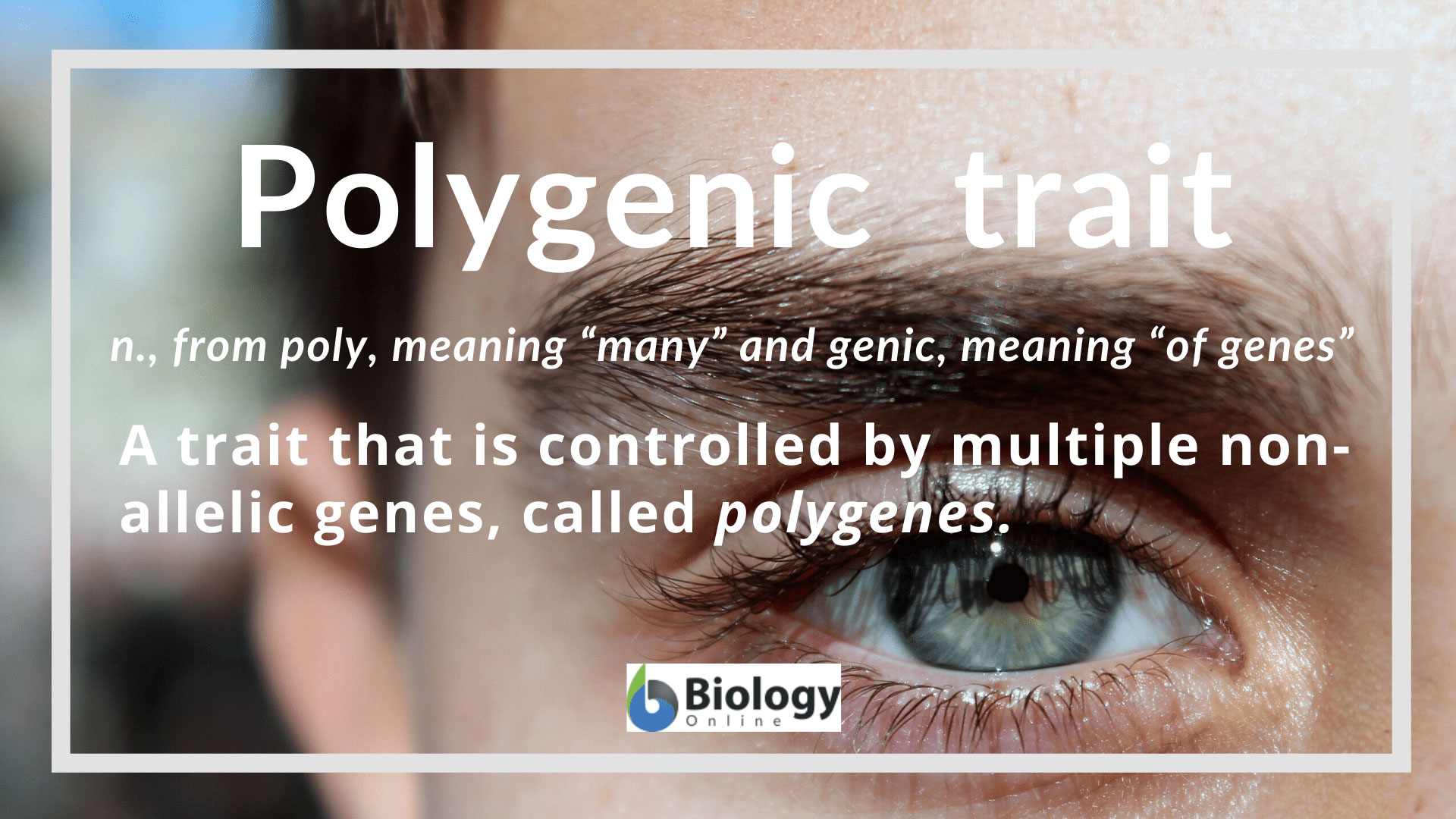 Polygenic Trait Definition And Examples Biology Online Dictionary