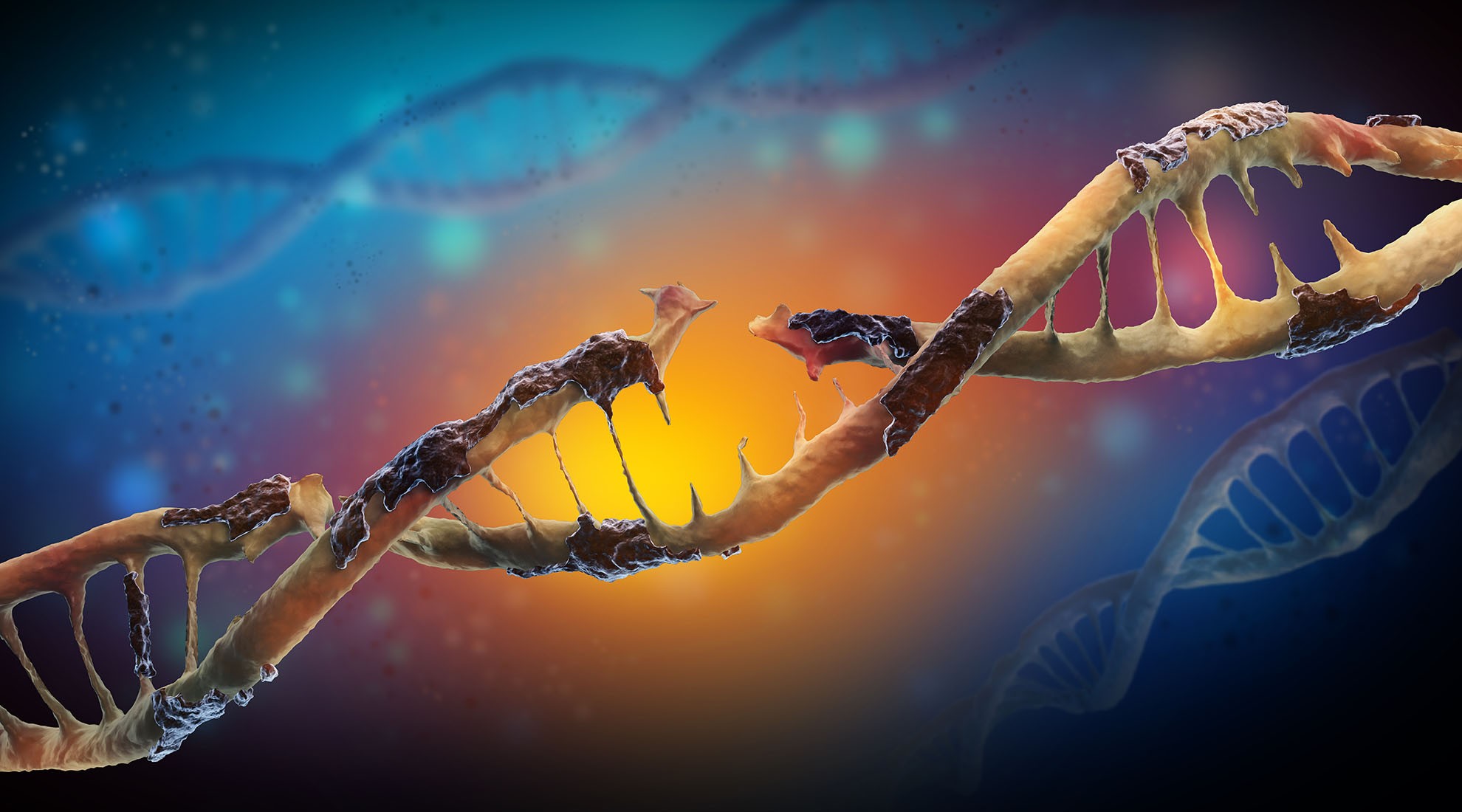 Genetic Mutations Biology Online Tutorial