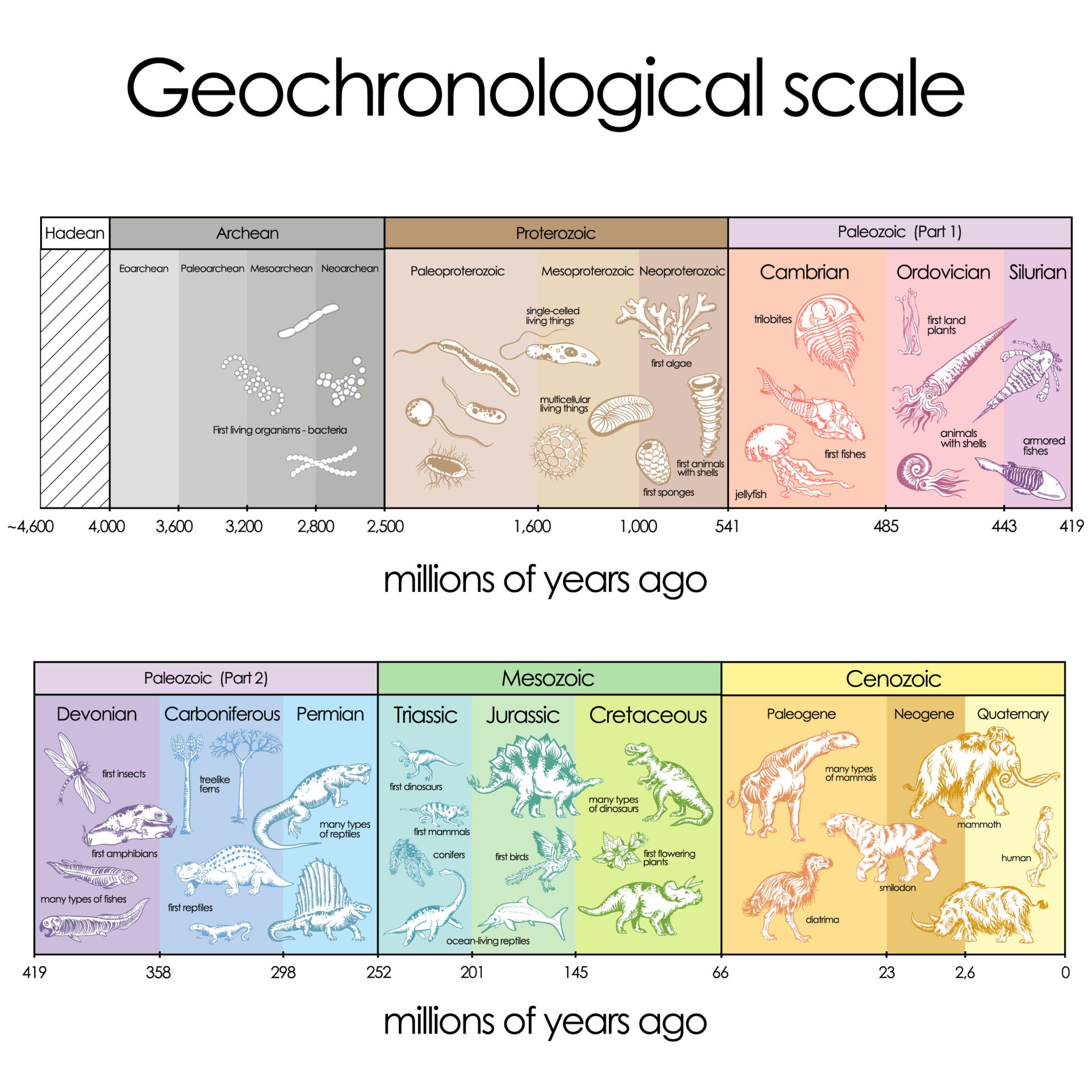 Geological Periods Biology Online Tutorial