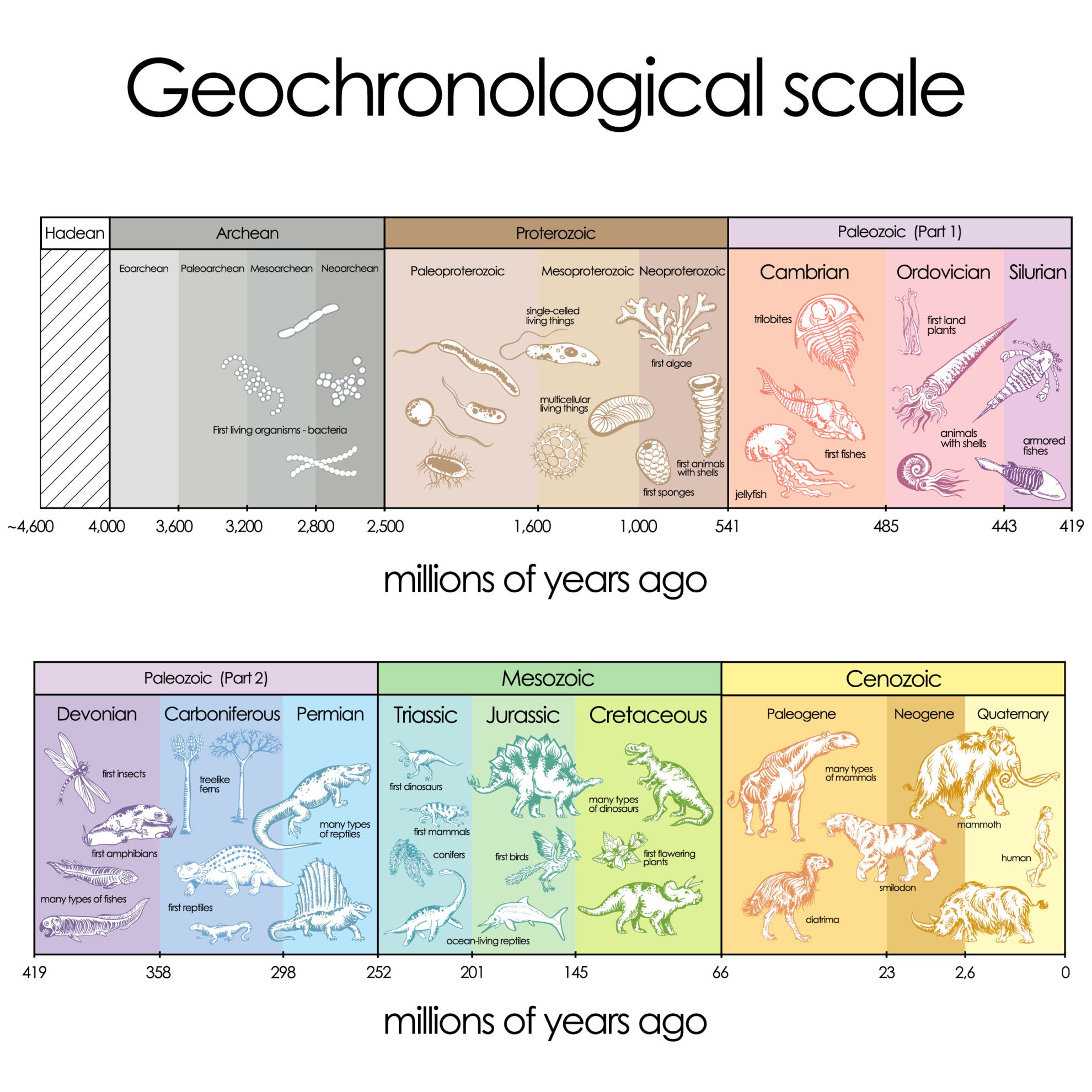 Periods And Eras Of Geological Time Scale