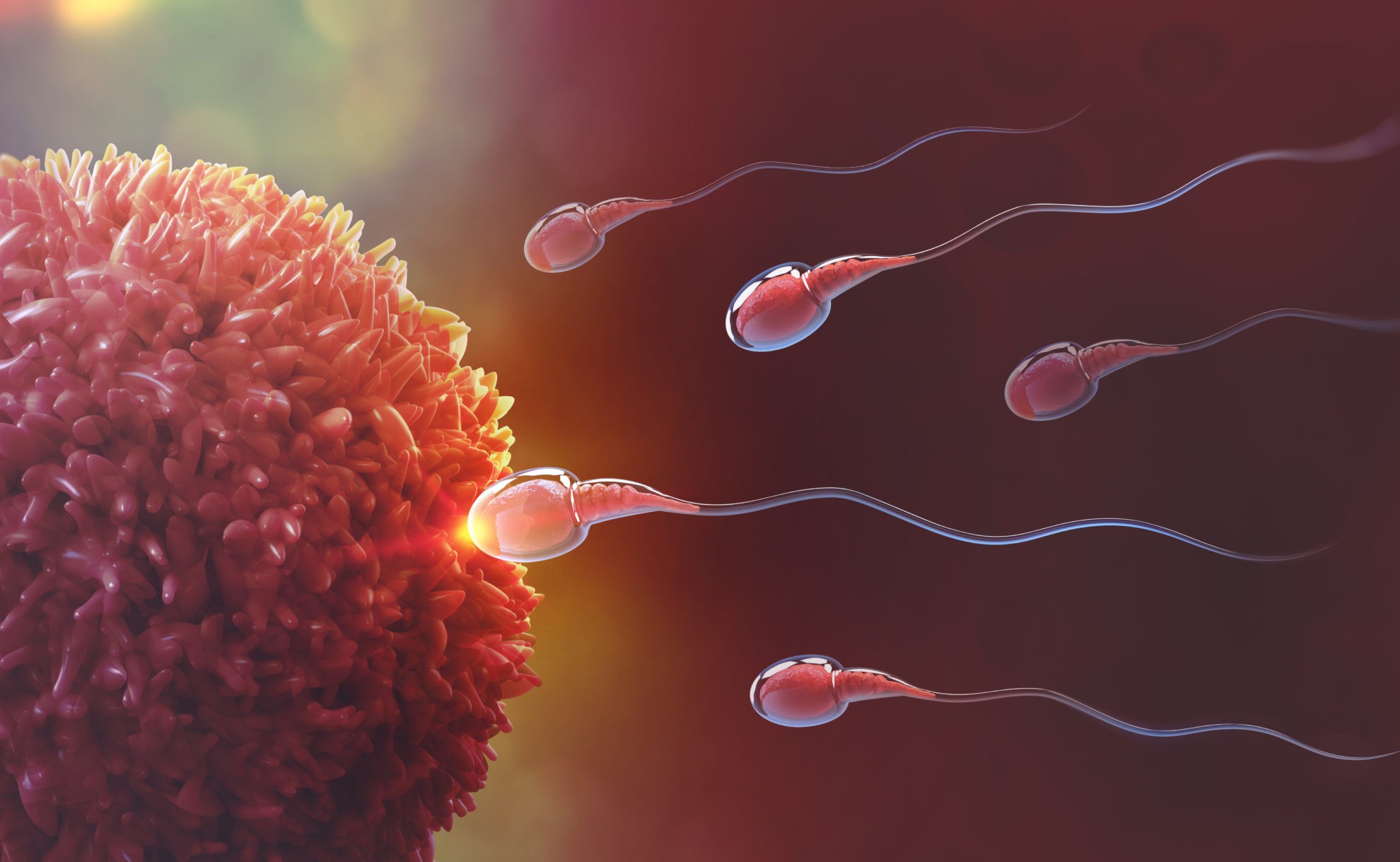 сперма во влагалище у детей фото 17