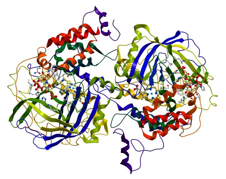 Protein Activity and Cellular Metabolism - Biology Online Tutorial