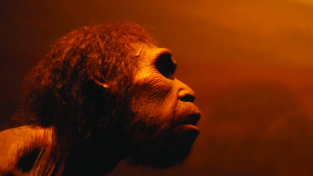 The Hominids Biology Online Tutorial