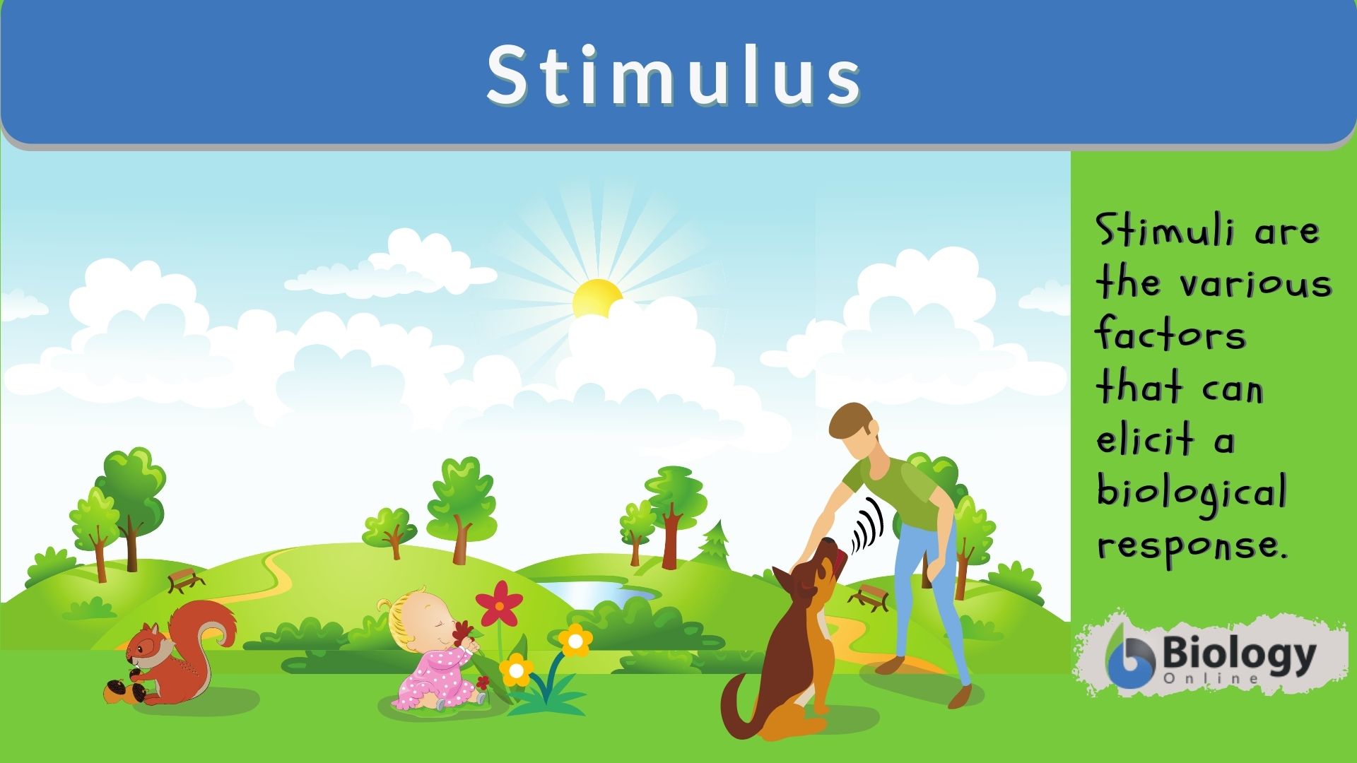 Stimulus Definition and Examples Biology Online Dictionary