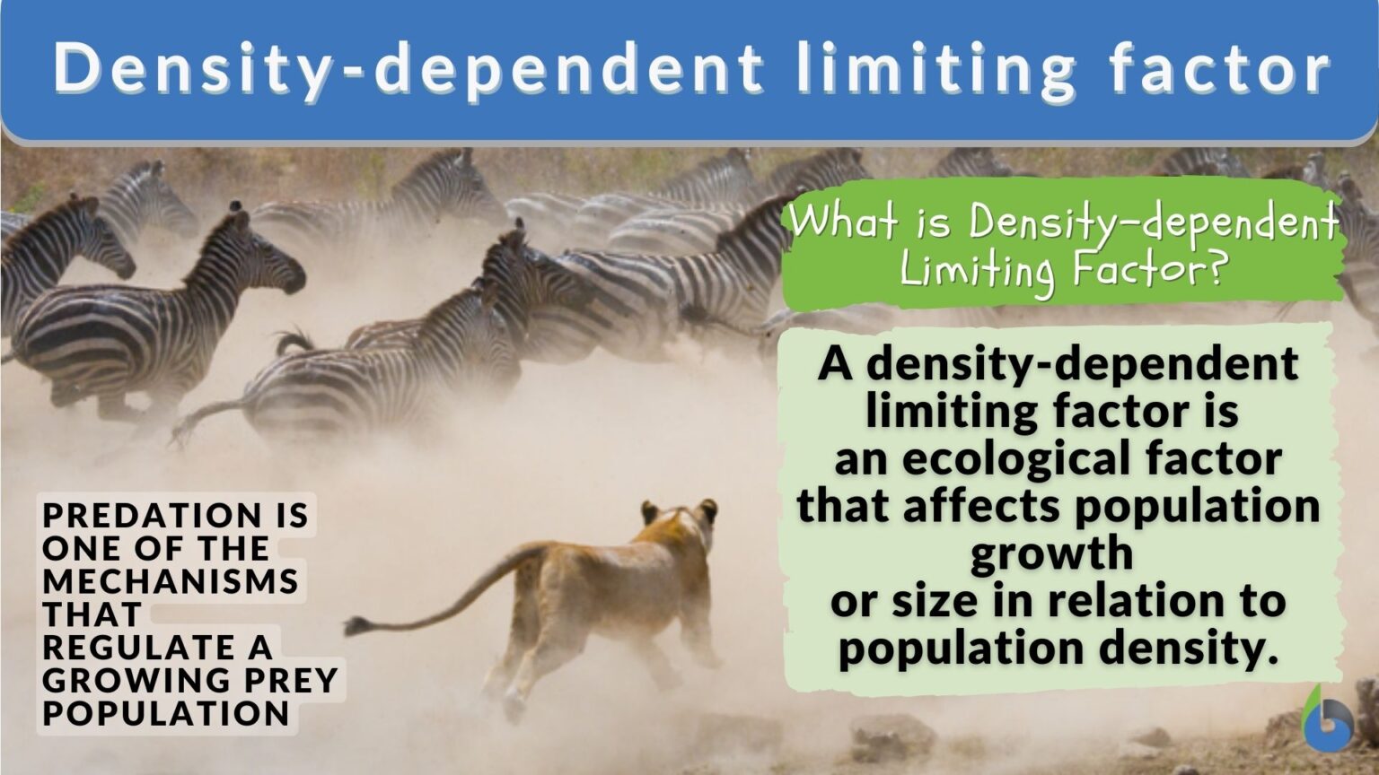 density-dependent-limiting-factor-definition-and-examples-biology