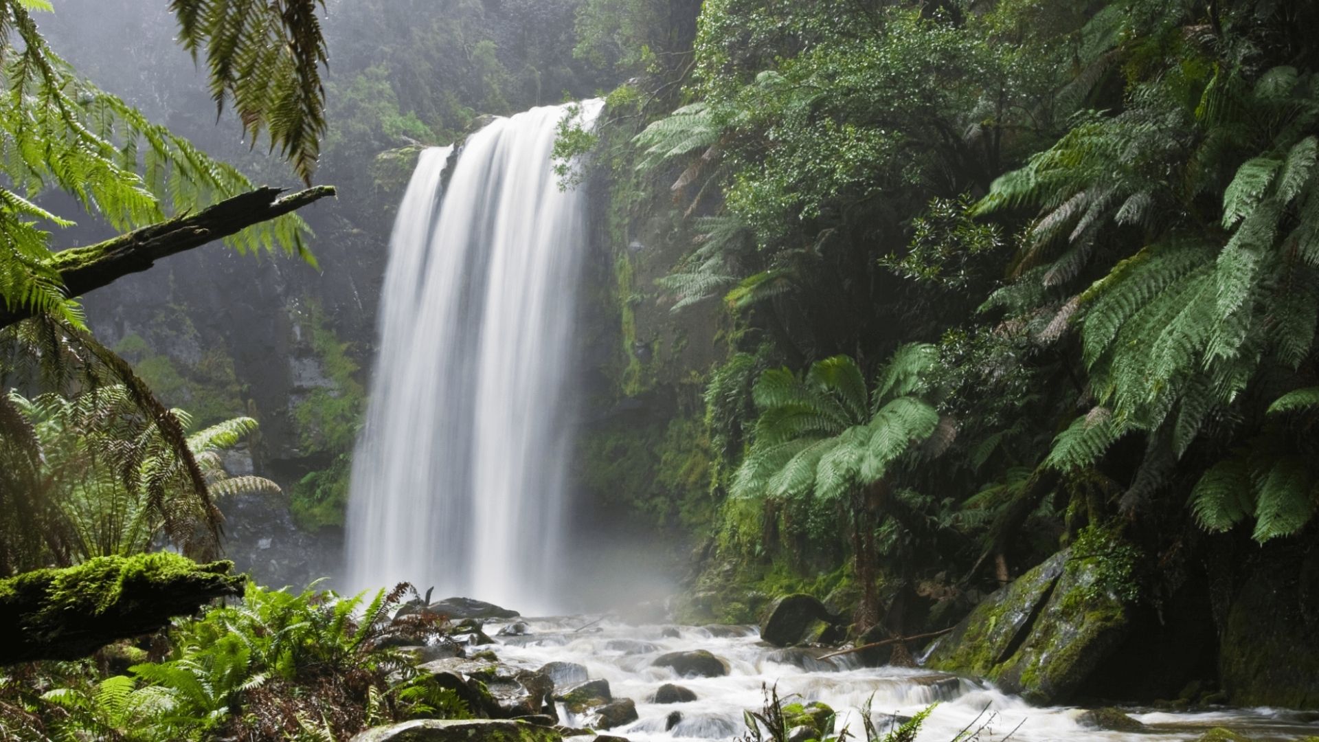 Hopetoun Falls, Beech Forest, Victoria