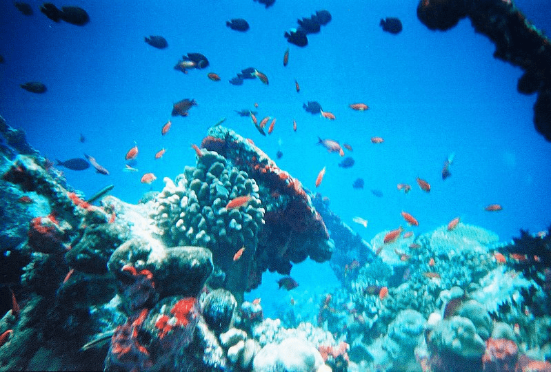 Maldives sea